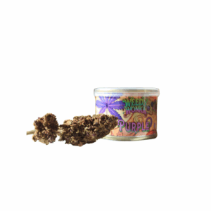 Fleur de CBD Purple Haze disposée à côté de sa boîte colorée
