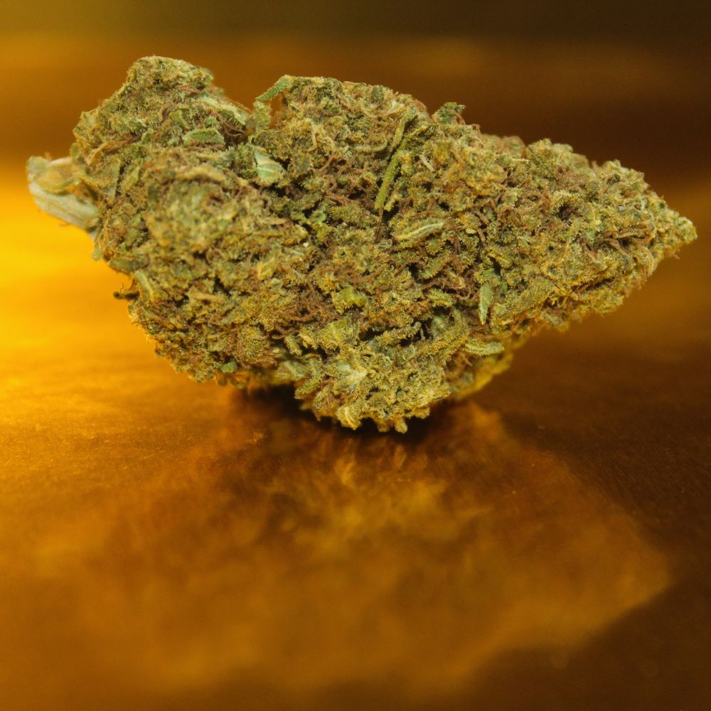 Big Mix CBD | Assemblage Premium Multi-Variétés