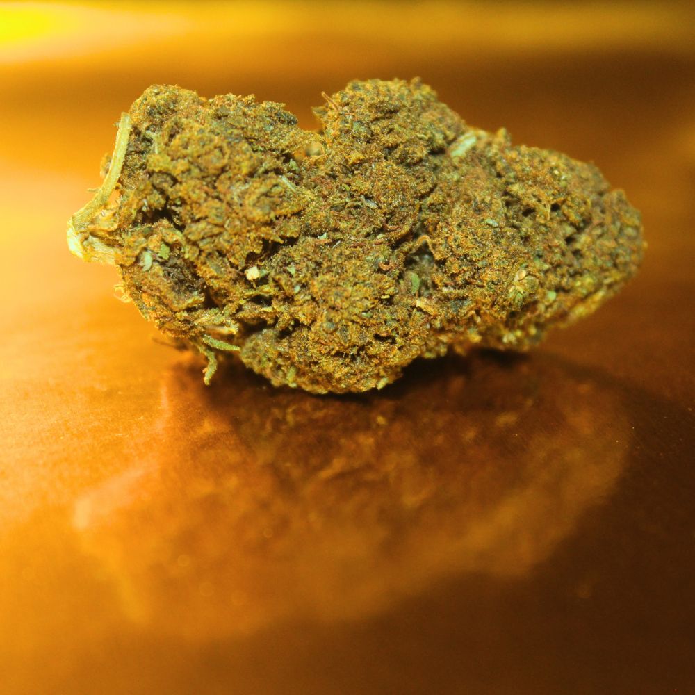 Critical DH CBD Indoor France | Variété Premium