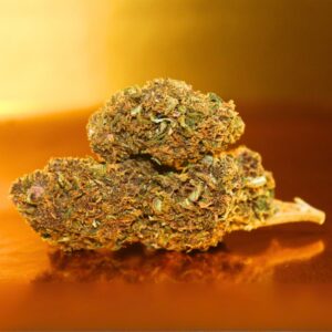 Fleur de CBD Pink Shark premium cultivée en serre, bourgeons medium-big aux arômes fruités et sucrés