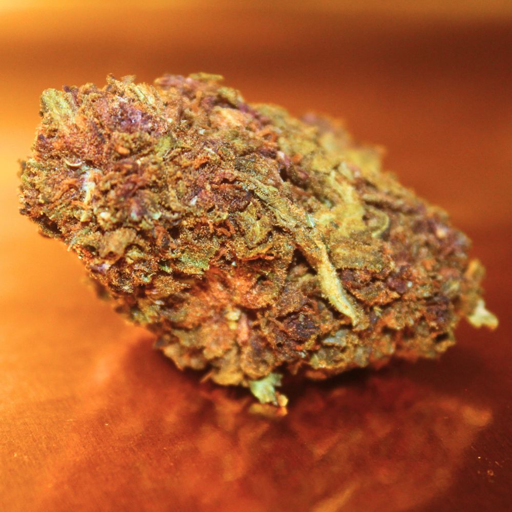 Fleur de CBD Purple premium d'Italie aux teintes violettes profondes, bourgeons medium-big cultivés en serre avec arômes fruités intenses