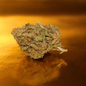 Fleur de CBD Silver Haze premium de Grèce en culture indoor, bourgeons medium-big aux arômes citronnés vivifiants et épicés