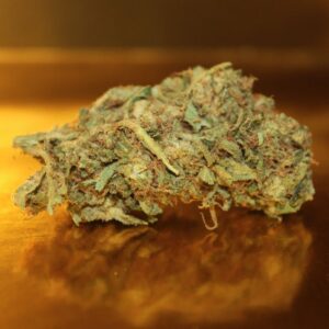 Fleur de CBD Sour Diesel SG premium de Grèce en culture indoor, bourgeons medium-big aux arômes diesel puissants et citronnés