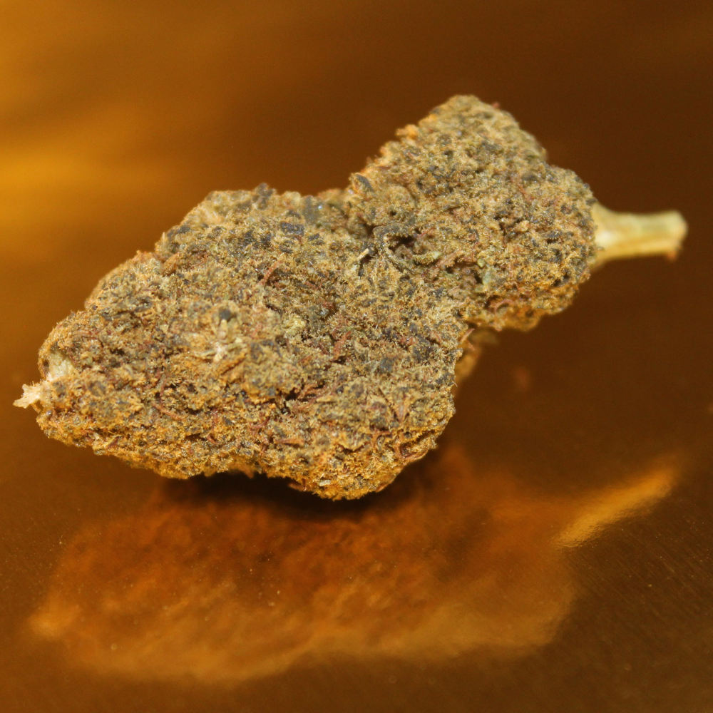 Fleur de CBD Amnesia premium d'Italie en culture greenhouse, bourgeons medium-big aux arômes citronnés légendaires et notes terreuses épicées