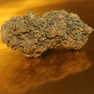 Fleur de CBD Critical Mass premium d'Italie en culture greenhouse, bourgeons medium-big aux arômes terreux profonds et notes sucrées épicées