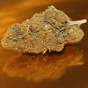 Fleur CBD Jack Herer - Variété Premium Italienne Greenhouse Légendaire