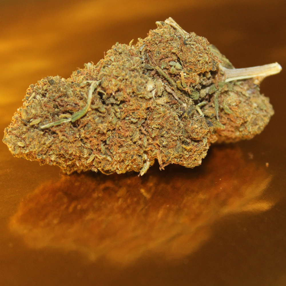 Fleur CBD Jack Herer - Variété Premium Italienne Greenhouse Légendaire