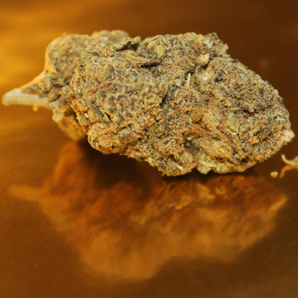 Fleur de CBD OG Kush premium d'Italie en culture greenhouse, bourgeons medium-big aux arômes boisés légendaires et notes terreuses citronnées