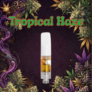Cartouche de Tropical Haze
