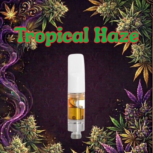 Cartouche de Tropical Haze